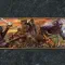 Age of Empires III Definitive Edition 帝国时代 3 决定版 [DLC 解锁补丁_凝聚力] [Steam & Xbox]