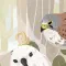 Birdwatching Notebook 观鸟笔记 [DLC 解锁补丁_凝聚力] [Steam]