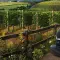 Farming Simulator 22 模拟农场 22 [DLC 解锁补丁_凝聚力] [Steam & Epic]